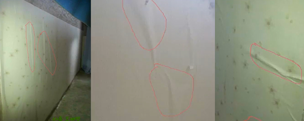 벽지에 풀칠을 하고 바로 바른 후의 벽지상태